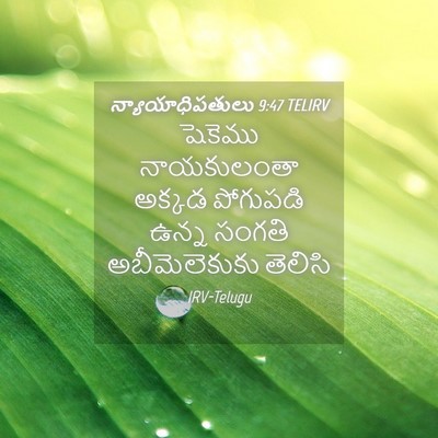 Picture 04 - న్యాయాధిపతులు 9:47 TELIRV - షెకెము నాయకులంతా - Bible Verse Picture