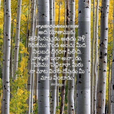 Picture 04 - న్యాయాధిపతులు 9:7 TELIRV - అది యోతాముకు - Bible Verse Picture