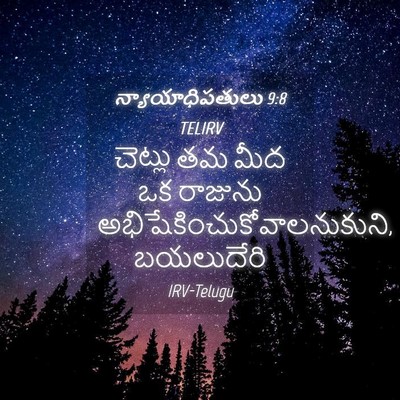Picture 04 - న్యాయాధిపతులు 9:8 TELIRV - చెట్లు తమ మీద ఒక - Bible Verse Picture