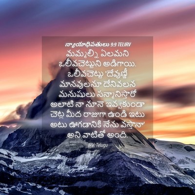 Picture 04 - న్యాయాధిపతులు 9:9 TELIRV - మమ్మల్ని ఏలమని - Bible Verse Picture