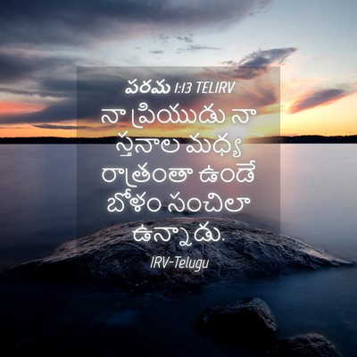 Picture 04 - పరమ 1:13 TELIRV - నా ప్రియుడు నా - Bible Verse Picture