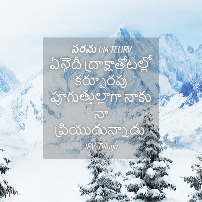Picture 04 - పరమ 1:14 TELIRV - ఏన్గెదీ - Bible Verse Picture