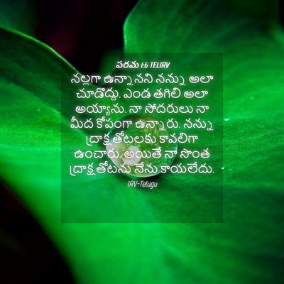 Picture 04 - పరమ 1:6 TELIRV - నల్లగా ఉన్నానని - Bible Verse Picture