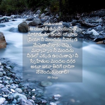 Picture 04 - పరమ 1:7 TELIRV - (ఆ యువతి తన - Bible Verse Picture