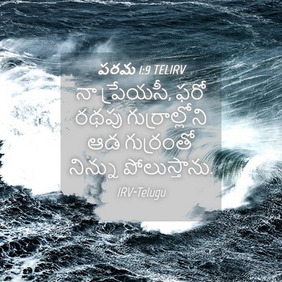 Picture 04 - పరమ 1:9 TELIRV - నా ప్రేయసీ, ఫరో - Bible Verse Picture
