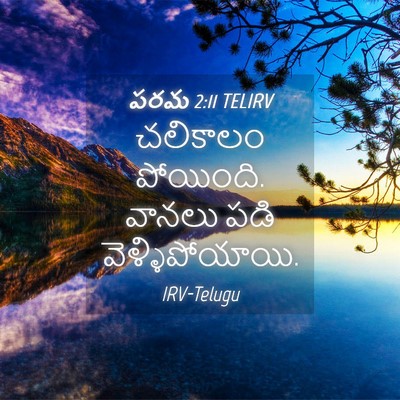 Picture 04 - పరమ 2:11 TELIRV - చలికాలం పోయింది. - Bible Verse Picture