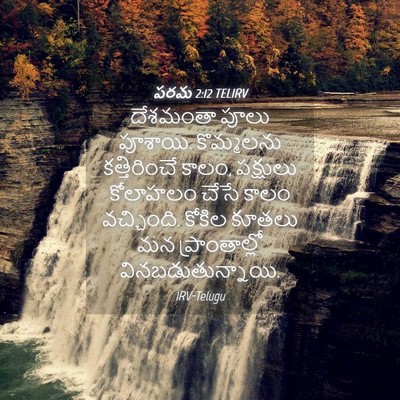 Picture 04 - పరమ 2:12 TELIRV - దేశమంతా పూలు - Bible Verse Picture