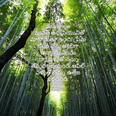 Picture 04 - పరమ 2:5 TELIRV - (యువతి తన - Bible Verse Picture