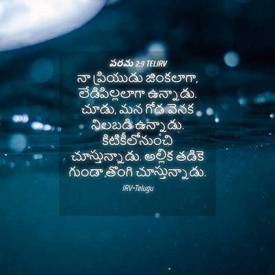 Picture 04 - పరమ 2:9 TELIRV - నా ప్రియుడు - Bible Verse Picture
