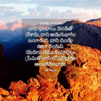 Picture 04 - పరమ 3:10 TELIRV - దాని స్తంభాలు - Bible Verse Picture