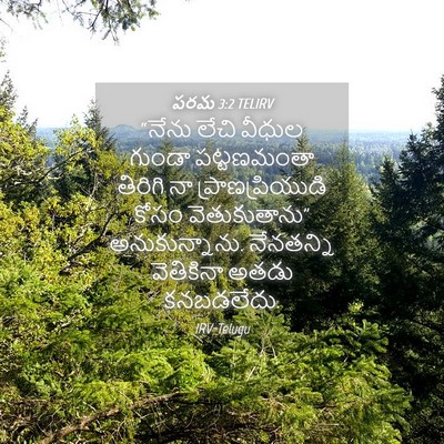 Picture 04 - పరమ 3:2 TELIRV - “నేను లేచి వీధుల - Bible Verse Picture