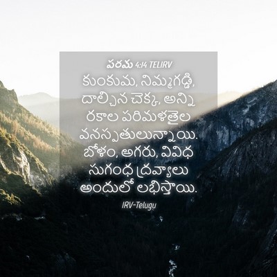 Picture 04 - పరమ 4:14 TELIRV - కుంకుమ, - Bible Verse Picture
