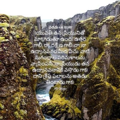 Picture 04 - పరమ 4:16 TELIRV - (యువతి తన - Bible Verse Picture