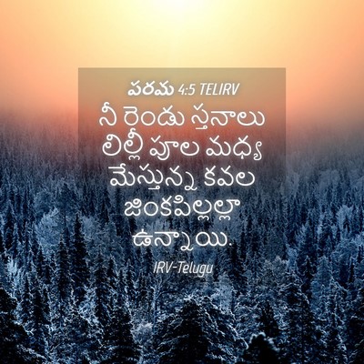 Picture 04 - పరమ 4:5 TELIRV - నీ రెండు స్తనాలు - Bible Verse Picture
