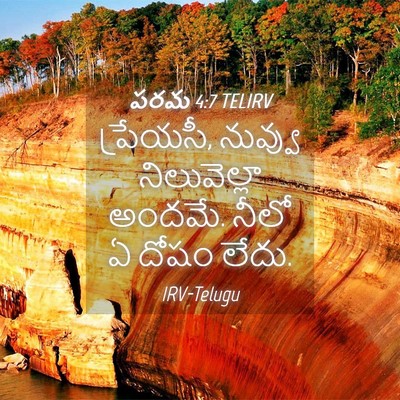 Picture 04 - పరమ 4:7 TELIRV - ప్రేయసీ, నువ్వు - Bible Verse Picture