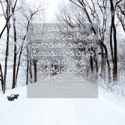 Picture 04 - పరమ 5:10 TELIRV - (యువతి పట్టణ - Bible Verse Picture