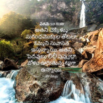 Picture 04 - పరమ 5:13 TELIRV - అతని చెక్కిళ్ళు - Bible Verse Picture