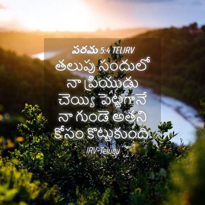 Picture 04 - పరమ 5:4 TELIRV - తలుపు సందులో నా - Bible Verse Picture