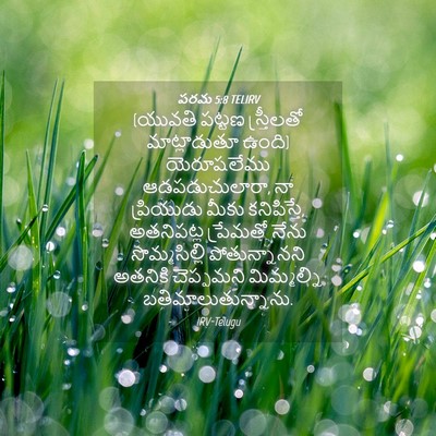 Picture 04 - పరమ 5:8 TELIRV - (యువతి పట్టణ - Bible Verse Picture