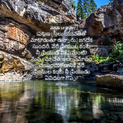 Picture 04 - పరమ 5:9 TELIRV - (పట్టణ స్త్రీలు - Bible Verse Picture
