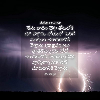 Picture 04 - పరమ 6:11 TELIRV - నేను బాదం చెట్ల - Bible Verse Picture