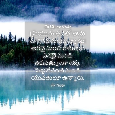 Picture 04 - పరమ 6:8 TELIRV - (ప్రియుడు తనలో - Bible Verse Picture