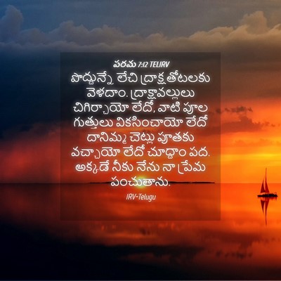 Picture 04 - పరమ 7:12 TELIRV - పొద్దున్నే లేచి - Bible Verse Picture