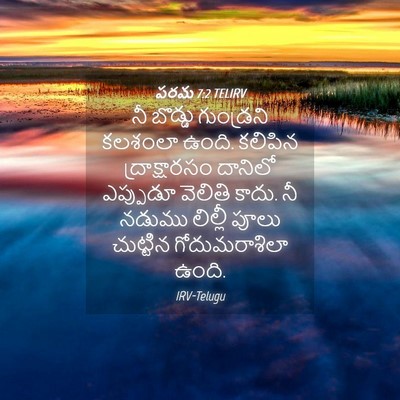 Picture 04 - పరమ 7:2 TELIRV - నీ బొడ్డు - Bible Verse Picture