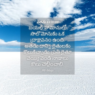 Picture 04 - పరమ 8:11 TELIRV - బయల్ హామోనులో - Bible Verse Picture