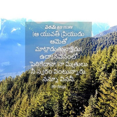 Picture 04 - పరమ 8:13 TELIRV - (ఆ యువతి ప్రియుడు - Bible Verse Picture