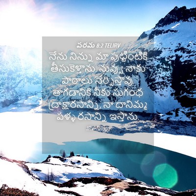 Picture 04 - పరమ 8:2 TELIRV - నేను నిన్ను మా - Bible Verse Picture