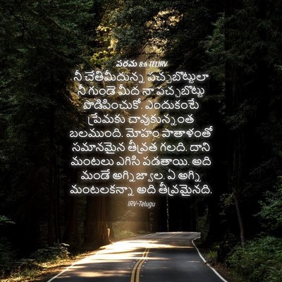Picture 04 - పరమ 8:6 TELIRV - నీ చేతిమీదున్న - Bible Verse Picture