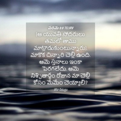 Picture 04 - పరమ 8:8 TELIRV - (ఆ యువతి సోదరులు - Bible Verse Picture
