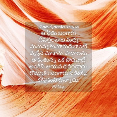 Picture 04 - ప్రకటన గ్రంథం 1:13 TELIRV - ఆ ఏడు బంగారు - Bible Verse Picture