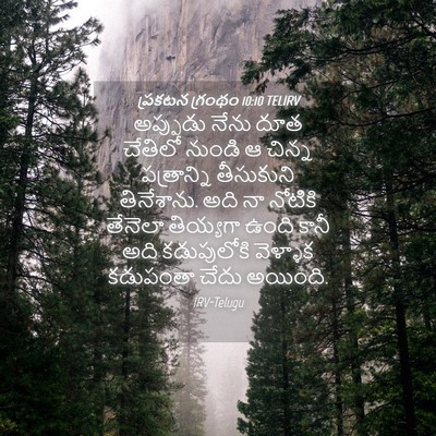 Picture 04 - ప్రకటన గ్రంథం 10:10 TELIRV - అప్పుడు నేను దూత - Bible Verse Picture