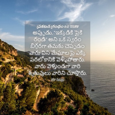 Picture 04 - ప్రకటన గ్రంథం 11:12 TELIRV - అప్పుడు, - Bible Verse Picture