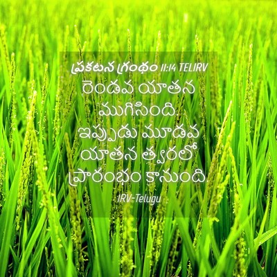 Picture 04 - ప్రకటన గ్రంథం 11:14 TELIRV - రెండవ యాతన - Bible Verse Picture