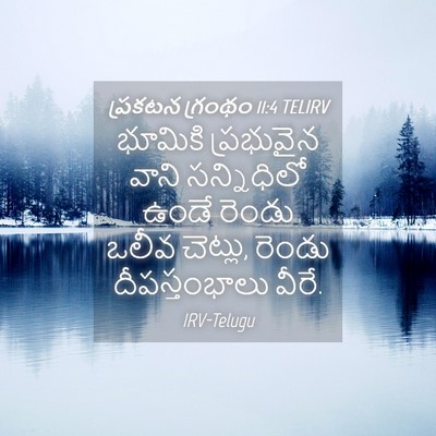 Picture 04 - ప్రకటన గ్రంథం 11:4 TELIRV - భూమికి ప్రభువైన - Bible Verse Picture