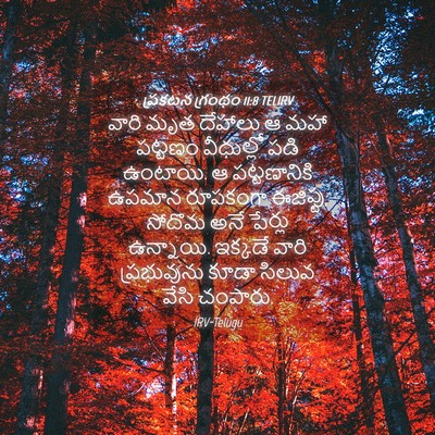 Picture 04 - ప్రకటన గ్రంథం 11:8 TELIRV - వారి మృత దేహాలు ఆ - Bible Verse Picture