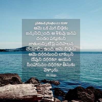 Picture 04 - ప్రకటన గ్రంథం 12:5 TELIRV - ఆమె ఒక మగ బిడ్డకు - Bible Verse Picture