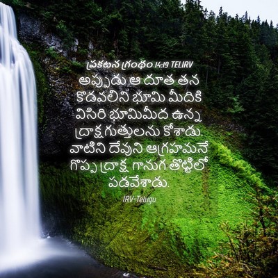 Picture 04 - ప్రకటన గ్రంథం 14:19 TELIRV - అప్పుడు ఆ దూత తన - Bible Verse Picture
