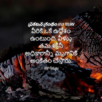 Picture 04 - ప్రకటన గ్రంథం 17:13 TELIRV - వీరికి ఒకే - Bible Verse Picture