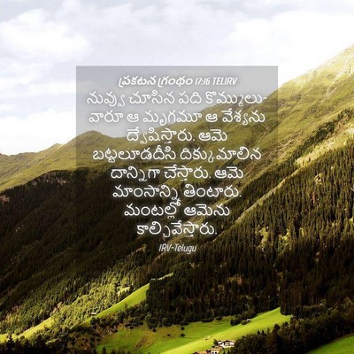 Picture 04 - ప్రకటన గ్రంథం 17:16 TELIRV - నువ్వు చూసిన పది - Bible Verse Picture