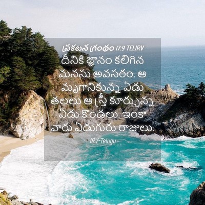Picture 04 - ప్రకటన గ్రంథం 17:9 TELIRV - దీనికి జ్ఞానం - Bible Verse Picture