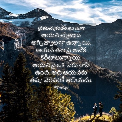 Picture 04 - ప్రకటన గ్రంథం 19:12 TELIRV - ఆయన నేత్రాలు - Bible Verse Picture