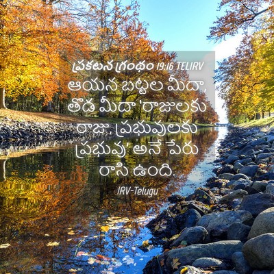 Picture 04 - ప్రకటన గ్రంథం 19:16 TELIRV - ఆయన బట్టల మీదా, తొడ - Bible Verse Picture