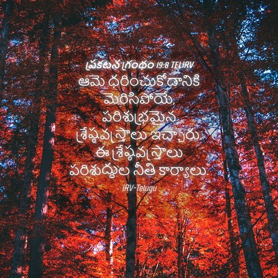 Picture 04 - ప్రకటన గ్రంథం 19:8 TELIRV - ఆమె - Bible Verse Picture