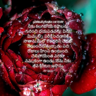Picture 04 - ప్రకటన గ్రంథం 2:10 TELIRV - నీకు కలగబోయే - Bible Verse Picture