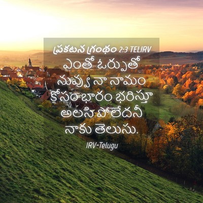 Picture 04 - ప్రకటన గ్రంథం 2:3 TELIRV - ఎంతో ఓర్పుతో - Bible Verse Picture