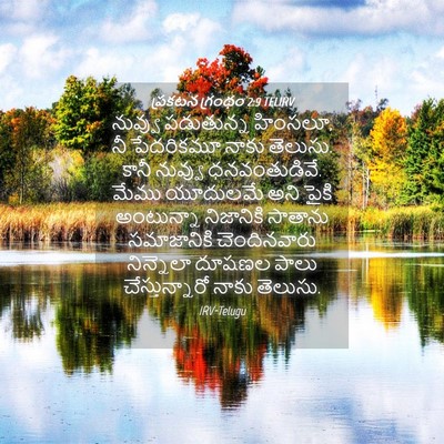 Picture 04 - ప్రకటన గ్రంథం 2:9 TELIRV - నువ్వు పడుతున్న - Bible Verse Picture